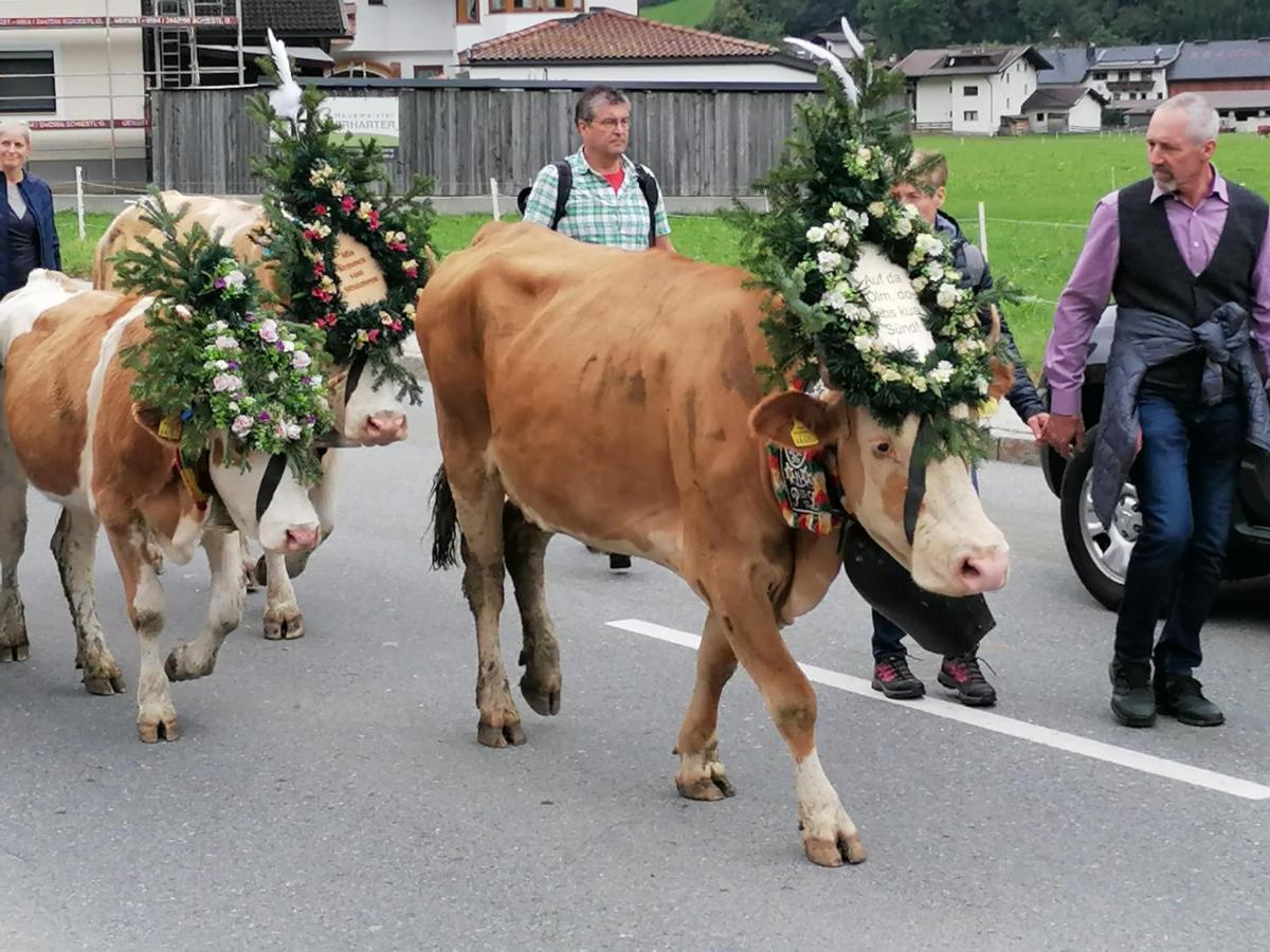 Appart Gruber Zell am Ziller Eksteriør billede