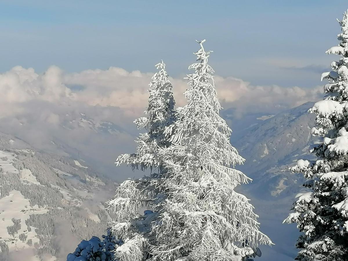 Appart Gruber Zell am Ziller Eksteriør billede